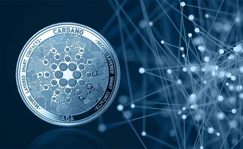قیمت کاردانو