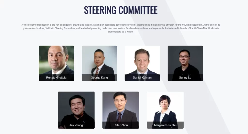 وی چین VET 2 Steering Committee