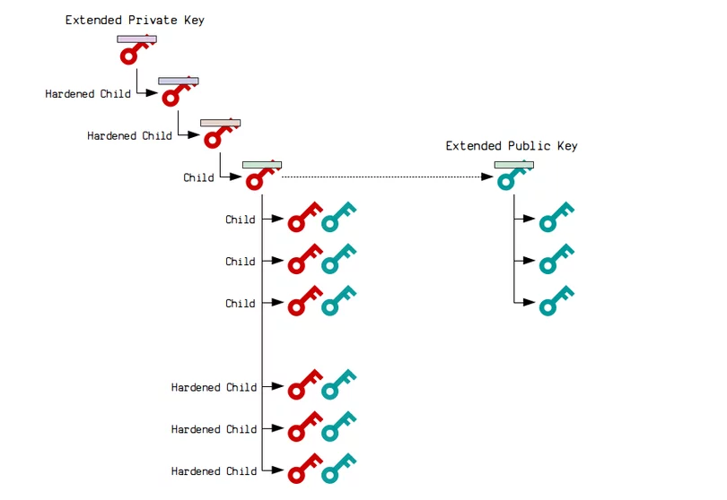 Webp.net resizeimage 17