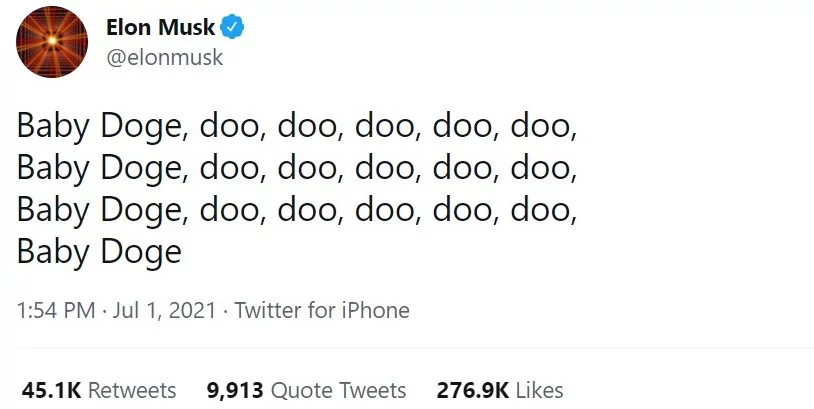 ایلان ماسک کیست؟ 7 babydoge 1