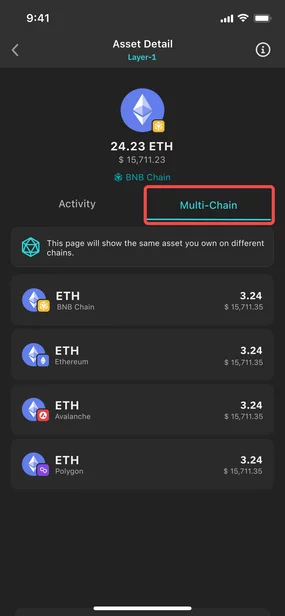 ethereum multichain asset