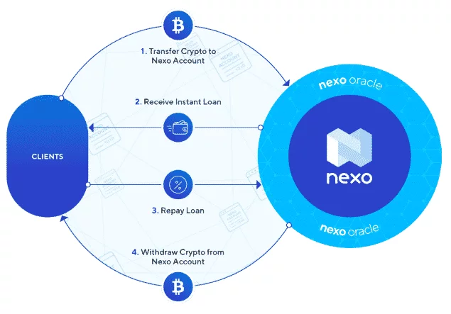 نکسو NEXO 3 نکسو
