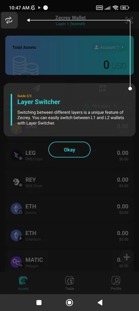 layer 2 switch