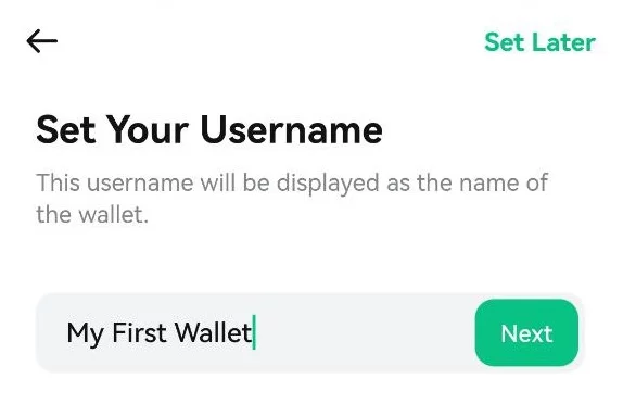 کیف پول هالو والت Halo Wallet چیست؟ 6 photo 3 2023 04 11 11 55 49