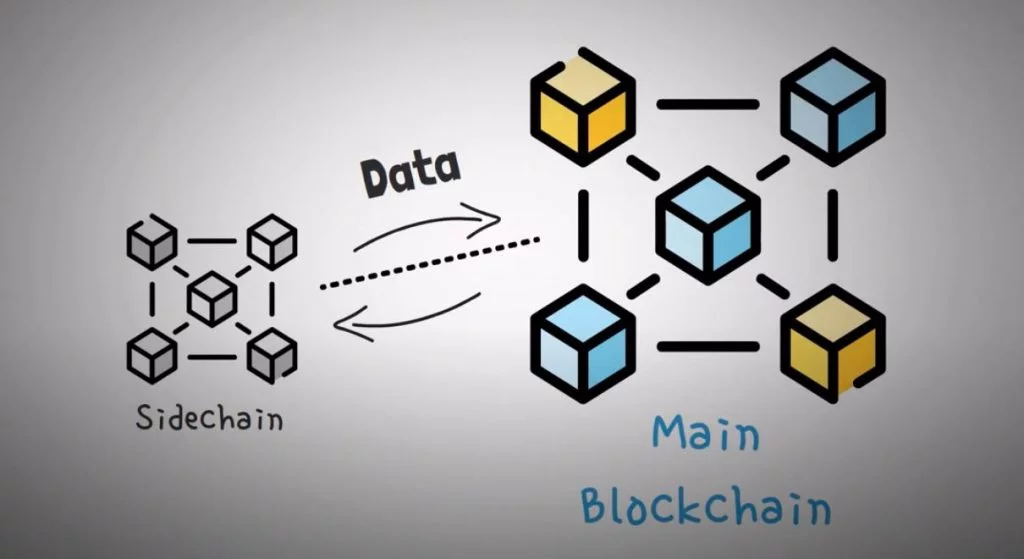 زنجیره جانبی (Sidechain) چیست؟ 2 sidechains and parentchains 1024x559 1