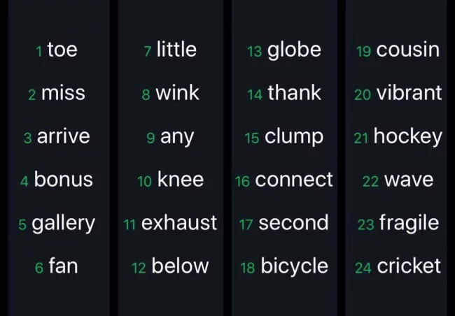 بازیابی چیست؟ 3 Mnemonic Phrase