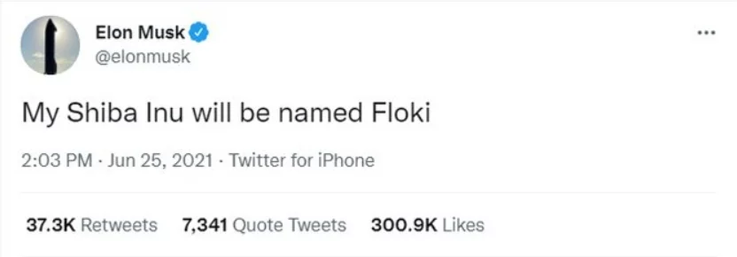 توییت ایلان ماسک برای فلوکی اینو