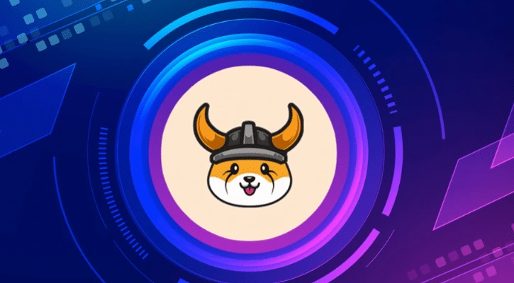 قیمت فلوکی و همه چیز در مورد آن 1 قیمت فلوکی