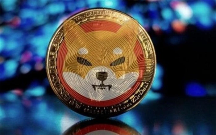 درباره شیبا اینو 4 شیبا اینو