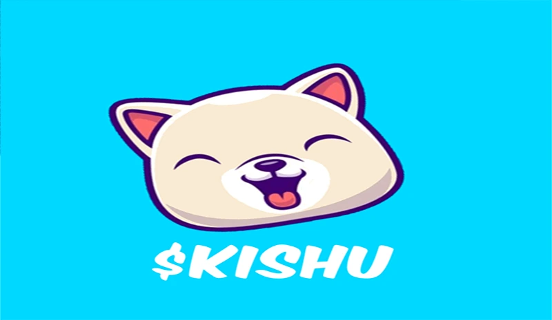 درباره کیشو اینو 2 Kishu Inu